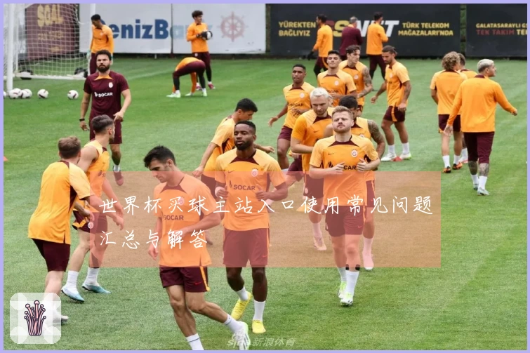 世界杯买球主站入口使用常见问题汇总与解答