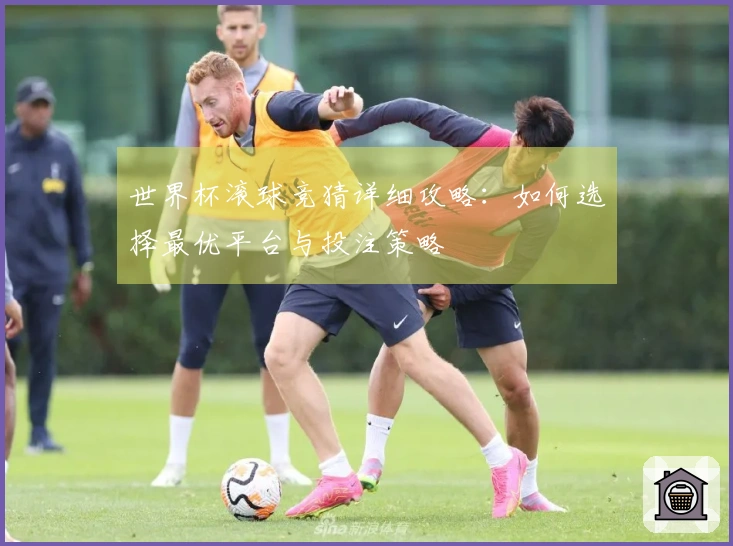 世界杯滚球竞猜详细攻略：如何选择最优平台与投注策略