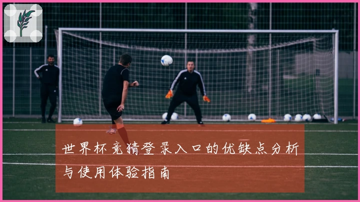 世界杯竞猜登录入口的优缺点分析与使用体验指南