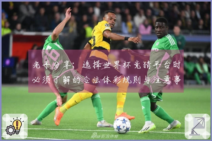 老手分享：选择世界杯竞猜平台时必须了解的合法体彩规则与注意事项