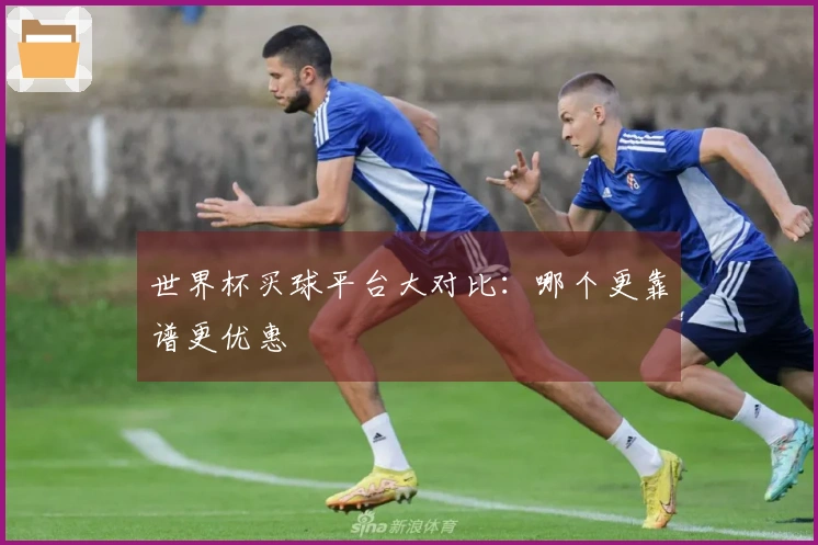 世界杯买球平台大对比：哪个更靠谱更优惠
