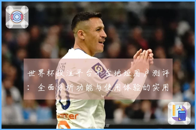 世界杯投注平台平台地址用户测评：全面分析功能与使用体验的实用指南