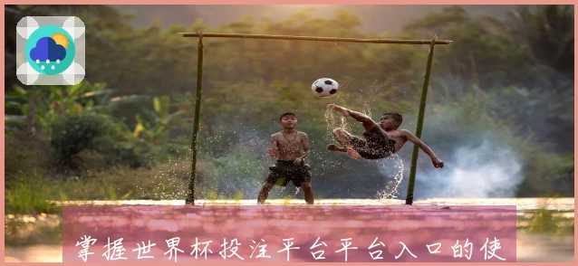 掌握世界杯投注平台平台入口的使用方法，轻松享受精彩赛事直播体验