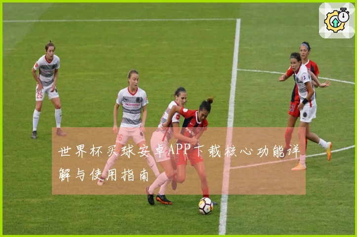 世界杯买球安卓APP下载核心功能详解与使用指南
